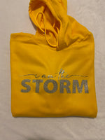 I am the storm 2-piece jogger set